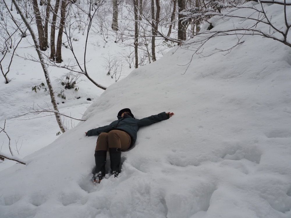 Howl Monさんが投稿した奥社参道のスギ並木に関する口コミの画像