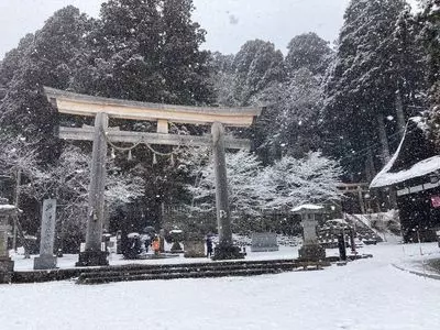 二葉屋 葉隠 3枚目