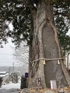 二葉屋 葉隠 2枚目