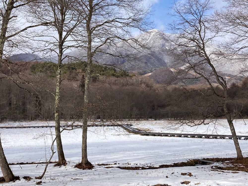 Howl Monさんが投稿した大座法師池に関する口コミの画像