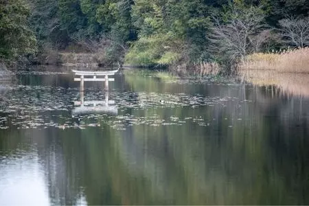 大池寺