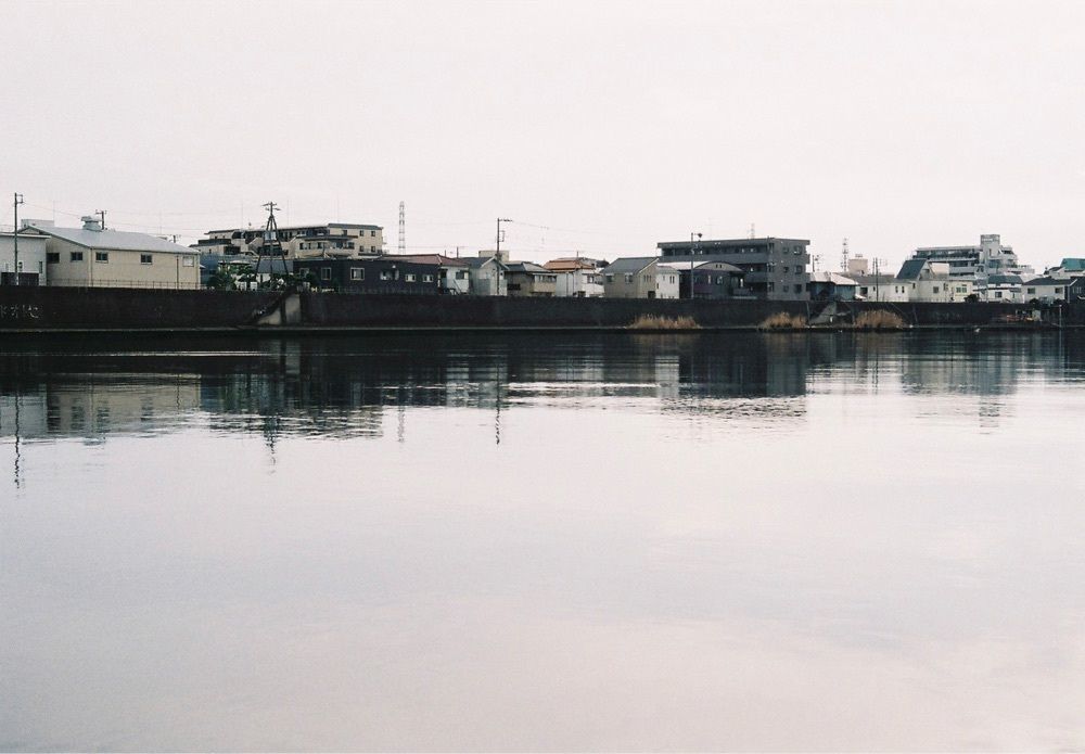 ハルさんが投稿した江戸川河川敷に関する口コミの画像
