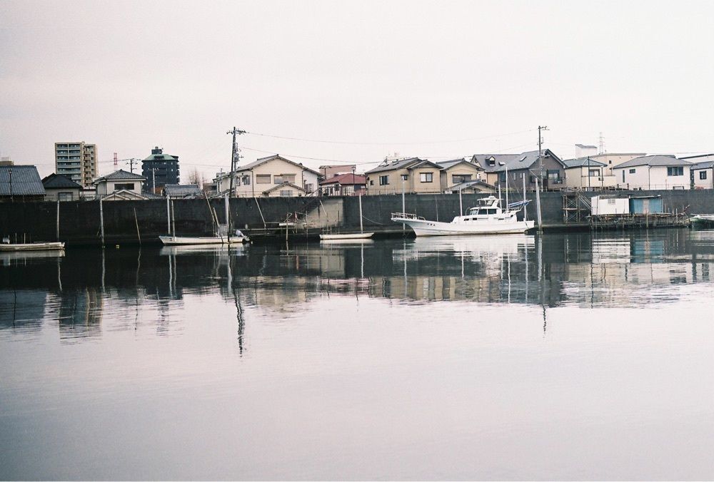 ハルさんが投稿した江戸川河川敷に関する口コミの画像