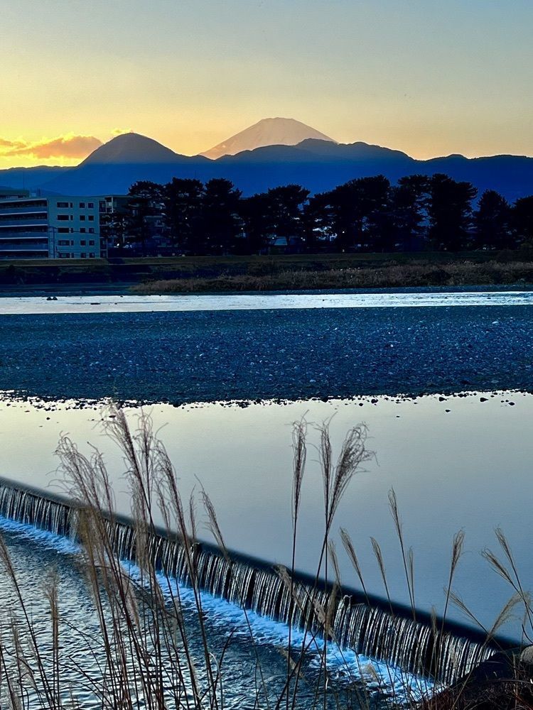 ビンカさんが投稿した開成駅前第２公園に関する口コミの画像