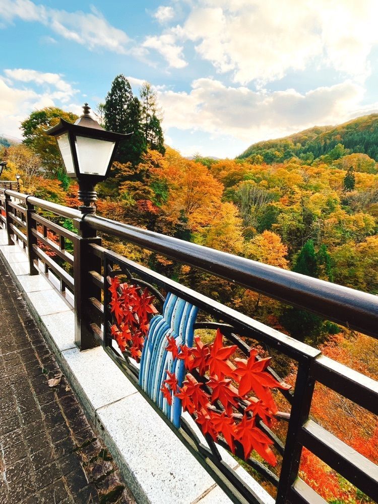 猫なぎ。さんが投稿した三途川渓谷に関する口コミの画像