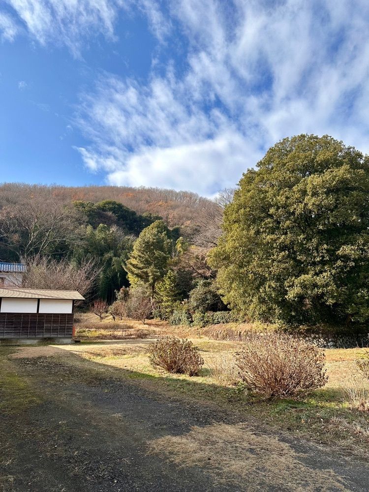 からっ風②さんが投稿した彦部家住宅に関する口コミの画像