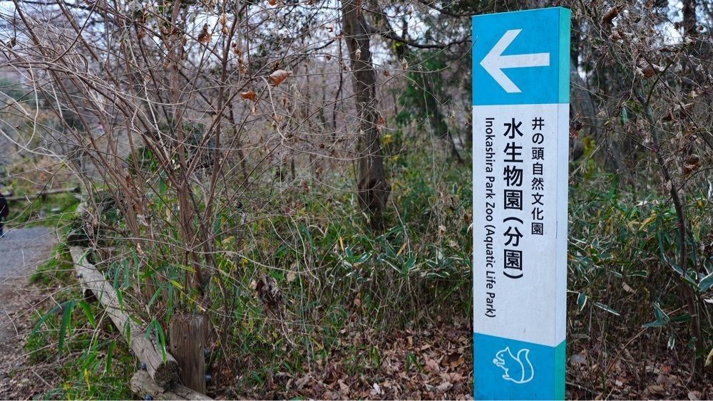 jamesさんが投稿したスターバックス・コーヒー 井の頭公園店に関する口コミの画像