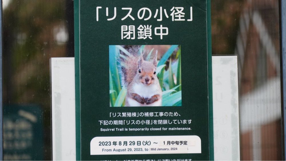 jamesさんが投稿したスターバックス・コーヒー 井の頭公園店に関する口コミの画像