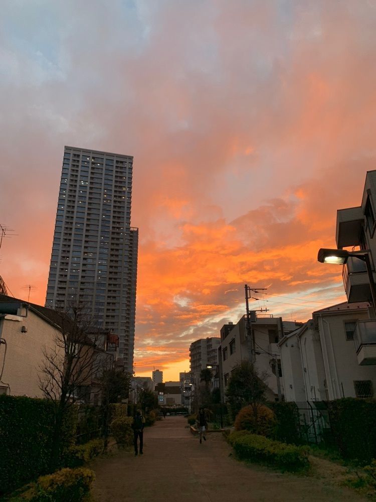 ＪＵNさんが投稿した碑文谷八幡宮に関する口コミの画像