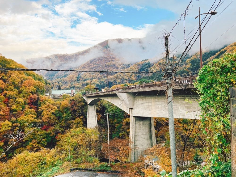 猫なぎ。さんが投稿した芦ノ牧温泉駅に関する口コミの画像