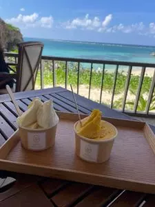 Ikemajima gelato cafe Ninufa（イケマジマ ジェラート カフェ ニヌファ）