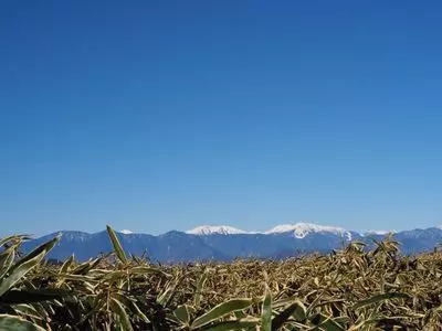本栖湖キャンプ場