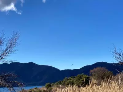 新稲子川温泉ユー・トリオ