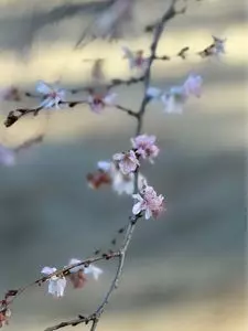世良田東照宮