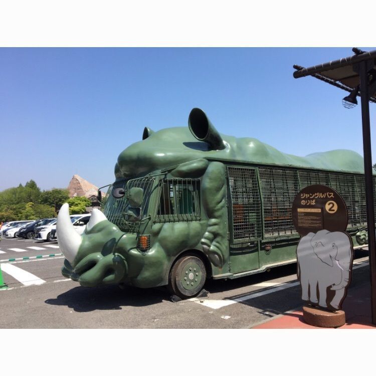 #旅行 #九州 #アフリカンサファリ #動物園