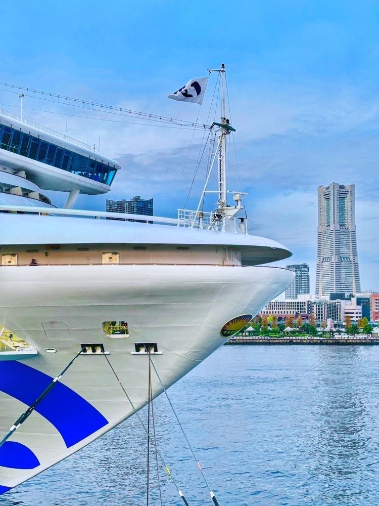 リリーさんが投稿したダイヤモンドプリンセス （Diamond Princess）に関する口コミの画像