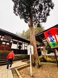 善寳寺