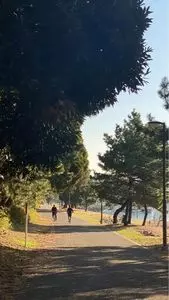 大井ふ頭中央海浜公園