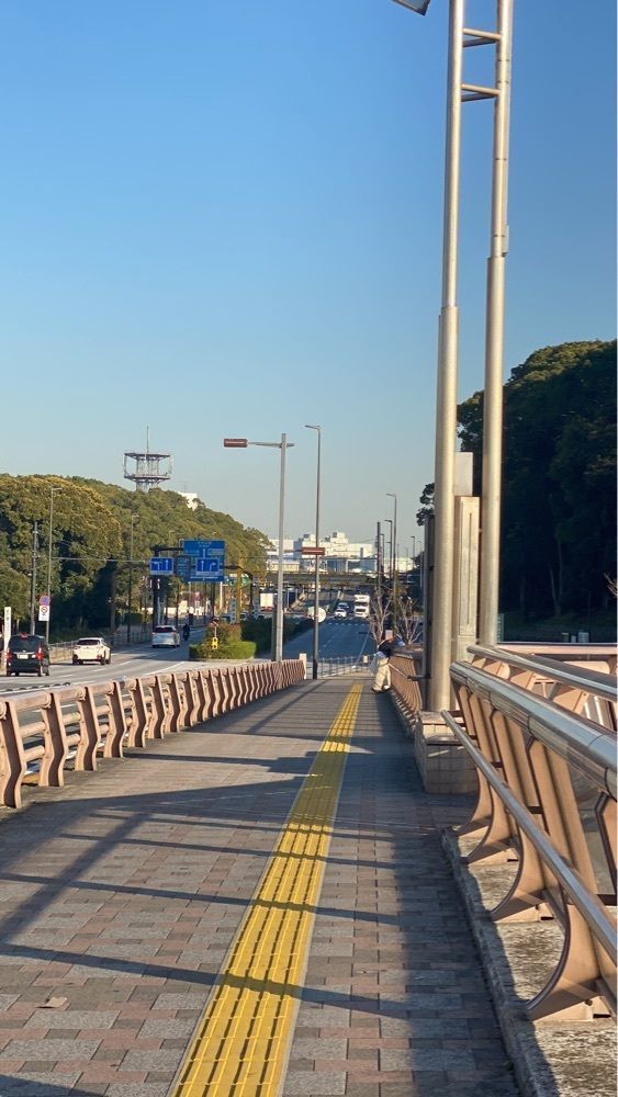ʏᴜさんが投稿した大井ふ頭中央海浜公園に関する口コミの画像