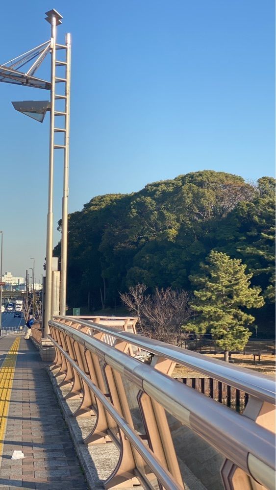 ʏᴜさんが投稿した大井ふ頭中央海浜公園に関する口コミの画像