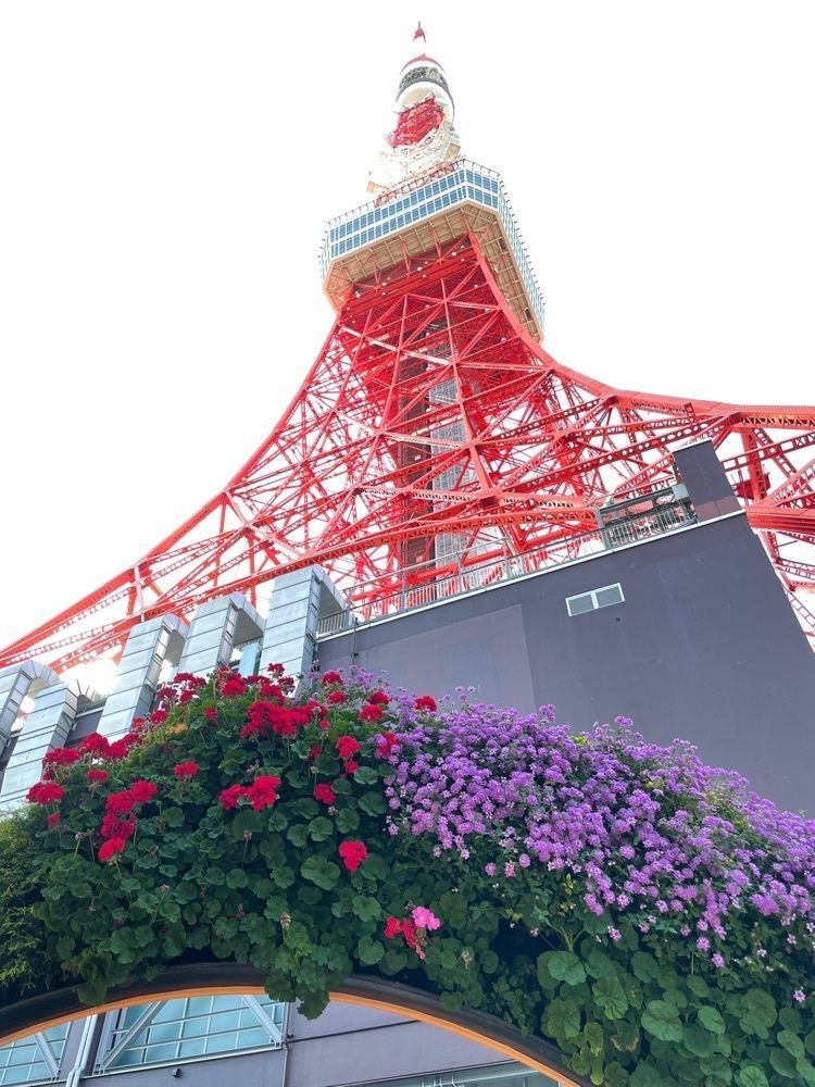 odeka-Kの画像