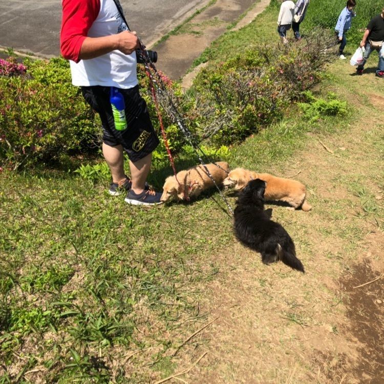 クルミ50さんが投稿した川内峠に関する口コミの画像