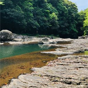 龍頭泉いこいの広場ロングテーブルキャンプグラウンド 3枚目