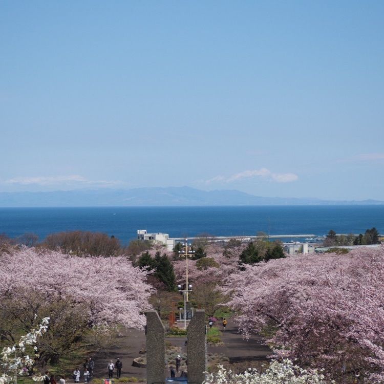 cool_showtime_493dさんが投稿したオニウシ公園に関する口コミの画像