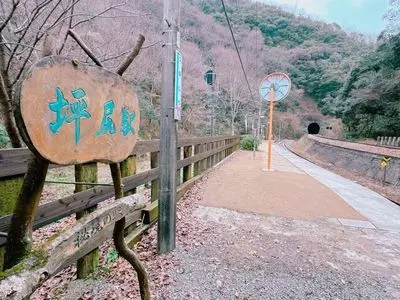 JR土讃線　坪尻駅