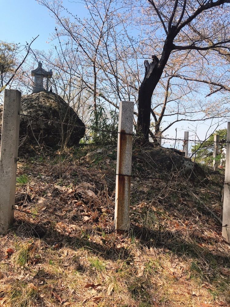 猫なぎ。さんが投稿した若木神社に関する口コミの画像