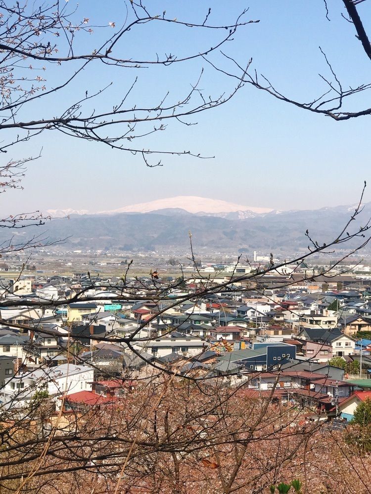 猫なぎ。さんが投稿した若木神社に関する口コミの画像