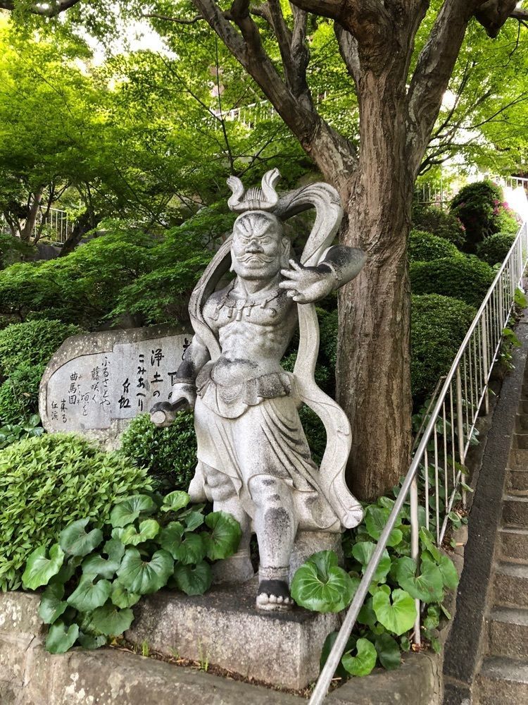 ノリさんが投稿した吉祥寺の藤に関する口コミの画像