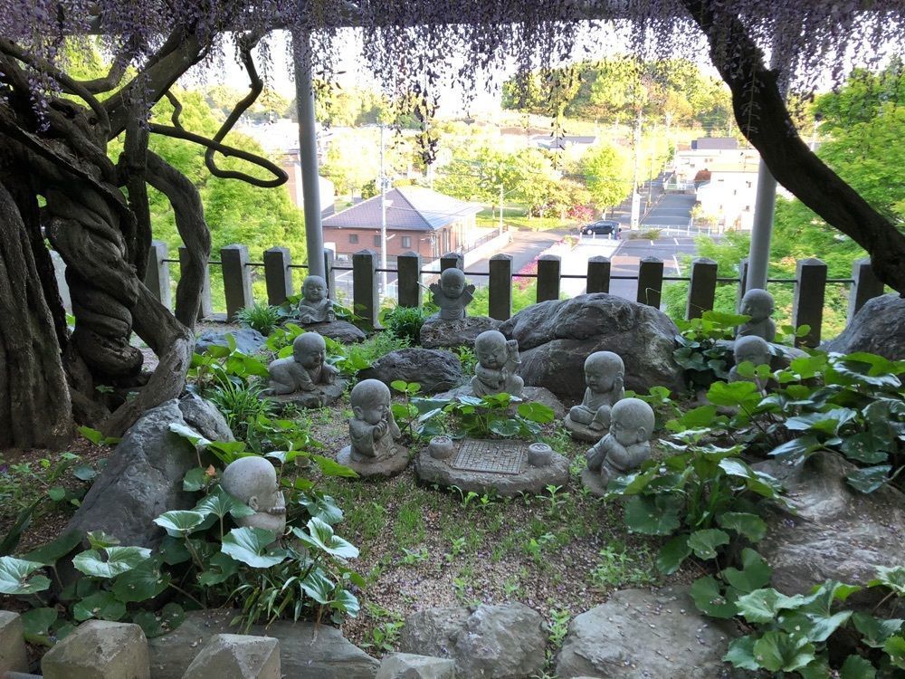ノリさんが投稿した吉祥寺の藤に関する口コミの画像