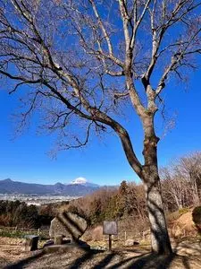 大井町農業体験施設四季の里
