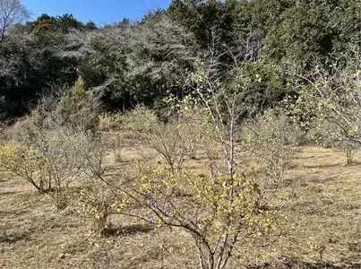 飯山温泉