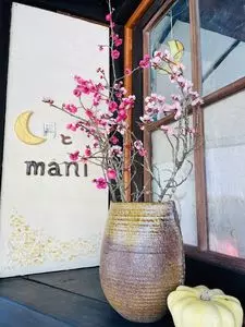 藤枝市市民の森