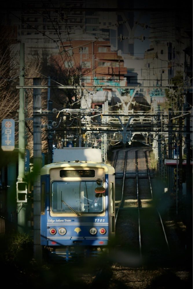 ばるおさんさんが投稿した都電沿線に関する口コミの画像