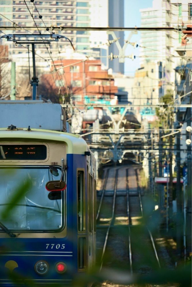 ばるおさんさんが投稿した都電沿線に関する口コミの画像
