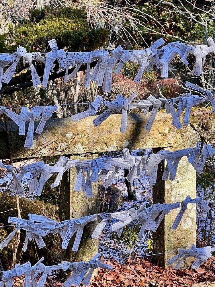ビンカさんが投稿した聖天堂に関する口コミの画像