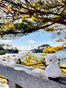 福浦島