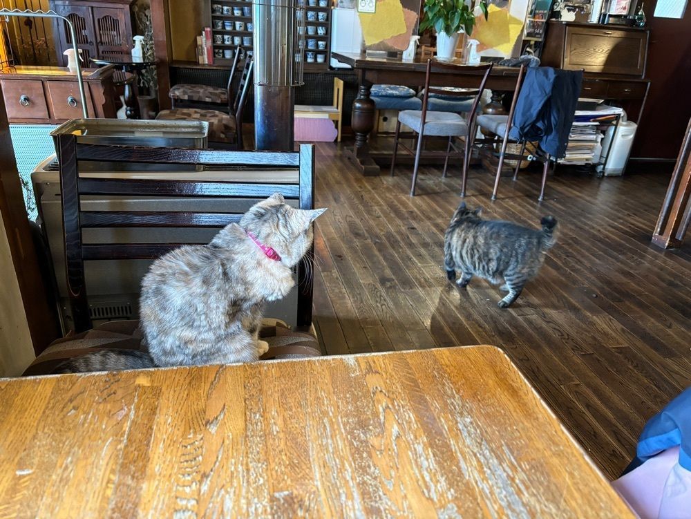 それなはとけさんが投稿した円山茶寮（まるやまさりょう）に関する口コミの画像