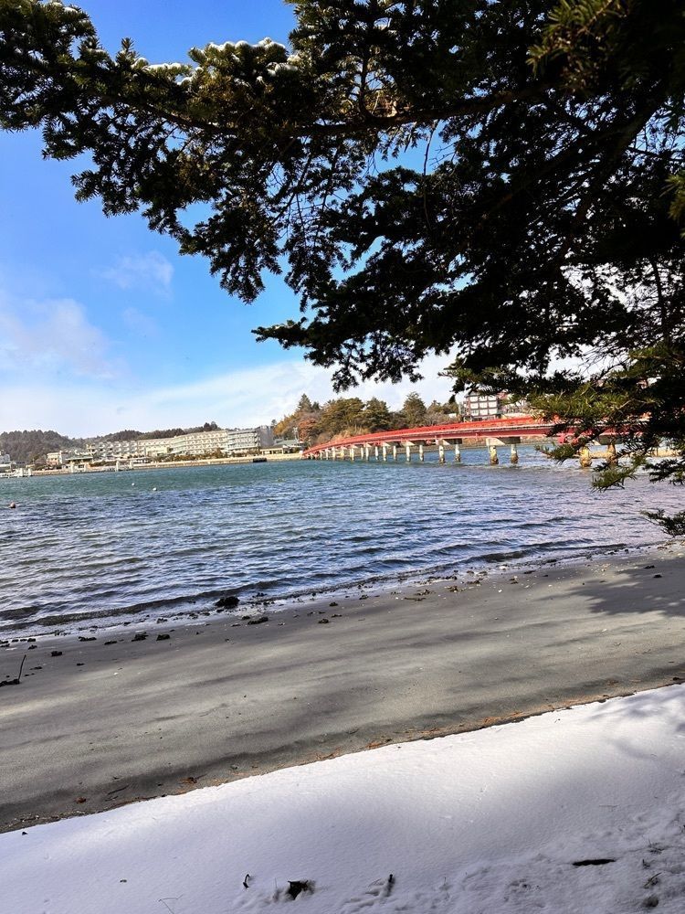 かめ_メグミさんが投稿した福浦島に関する口コミの画像
