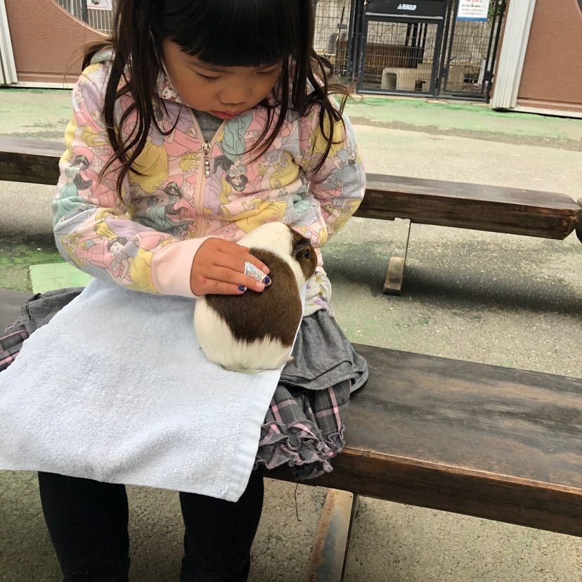 千葉県だいすきさんが投稿した市川市動植物園 レストハウスに関する口コミの画像