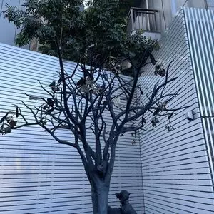 常円寺