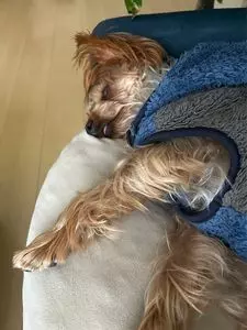 蔵の家