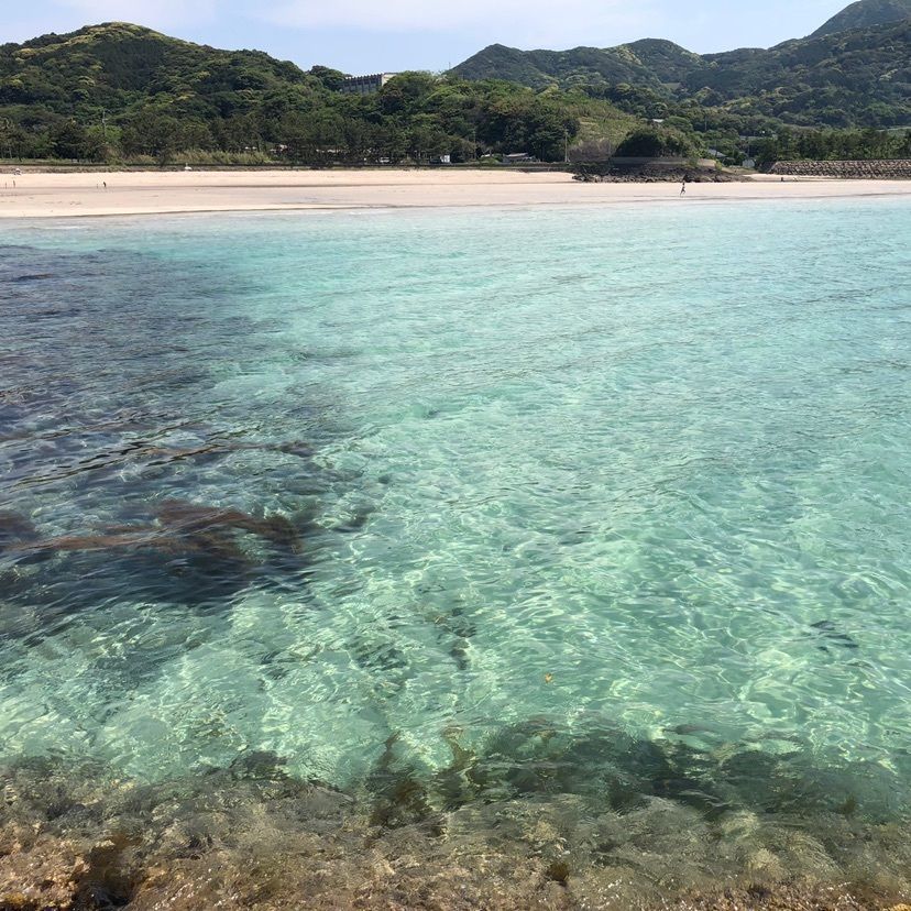 りょうたさんが投稿した根獅子海水浴場に関する口コミの画像