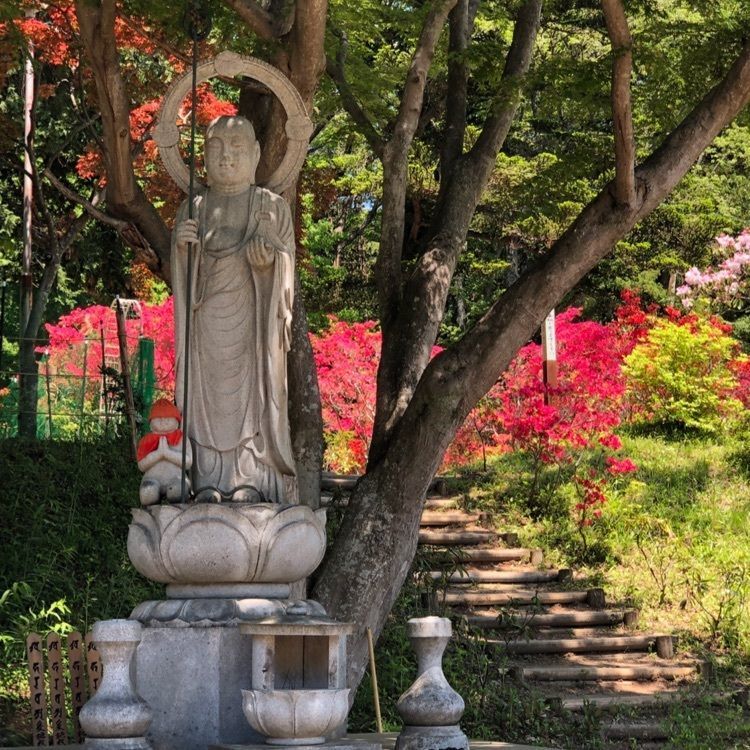 wonderfulさんが投稿した正福寺に関する口コミの画像