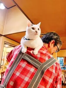 ペンション ひみつ基地