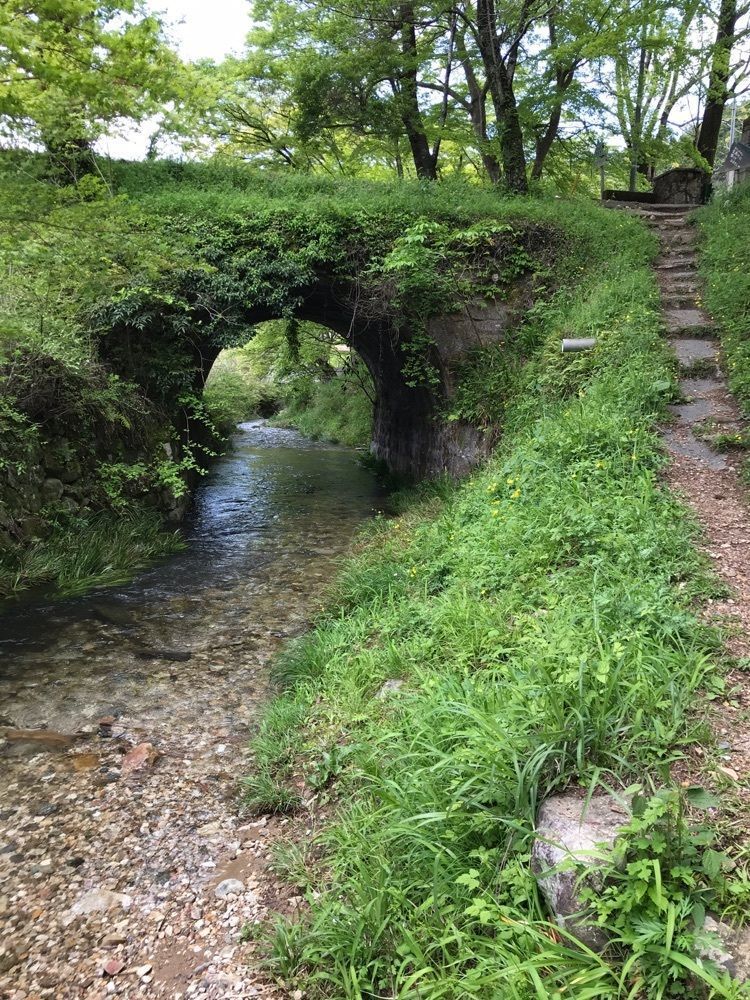 べべさんが投稿した旧門谷小学校に関する口コミの画像