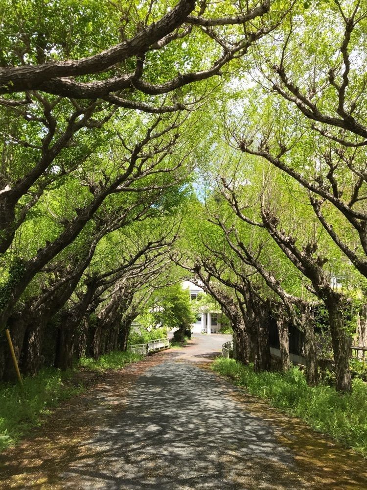 べべさんが投稿した旧門谷小学校に関する口コミの画像